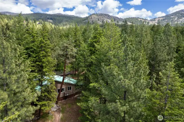 Fawn Creek Hide A Way- nestled in a private tree scape, waiting to be part of your next chapter.