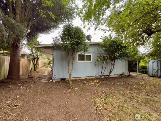 Back of home with mature landscaping, apple tree and garden area, fenced backyard