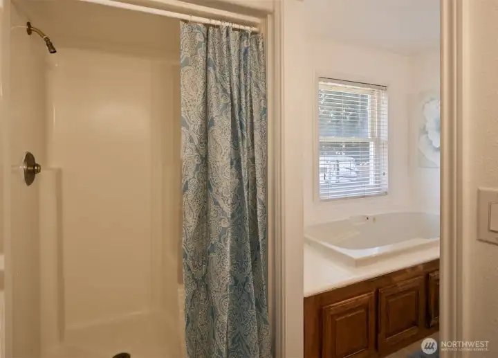 Separate walk in shower and soak tub