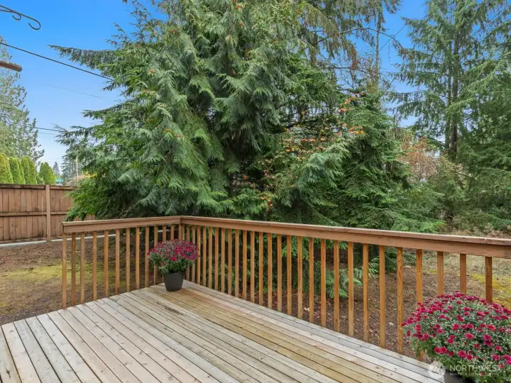 Mature landscaping provides additional privacy and attracts wildlife.