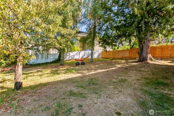 Shared Yard