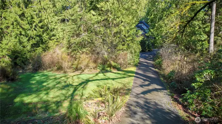 Driveway leading to home. Blueberries, rhododendrons and other native plants surrounding the property.
