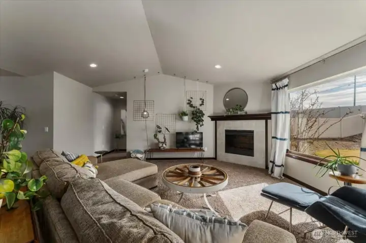 Electric fire place.