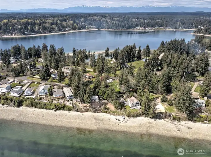 Overview of the community