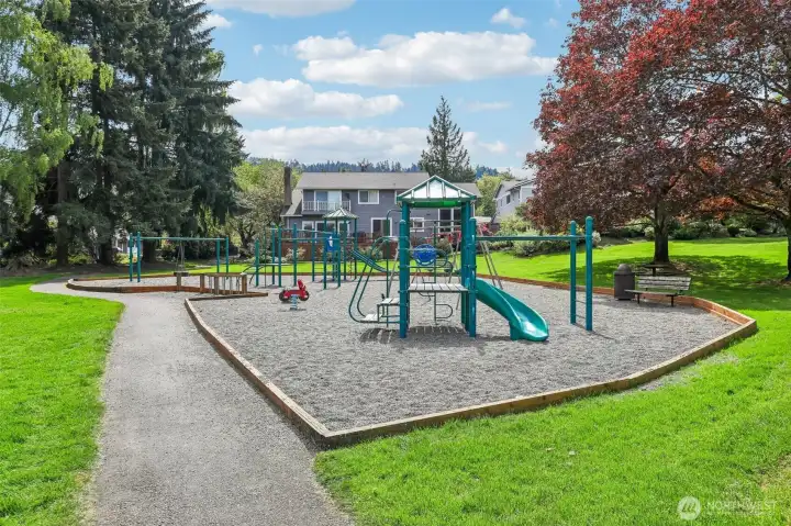 4 acre community park with playset.