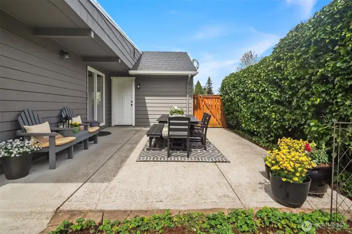 Backyard patio through sliding glass door.