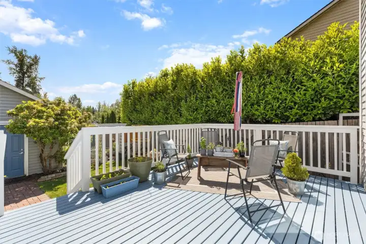 Large backyard deck