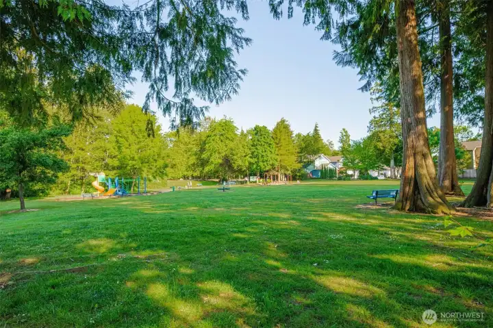 Community Park