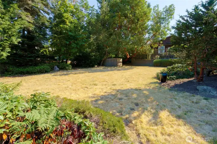 Large corner lot.