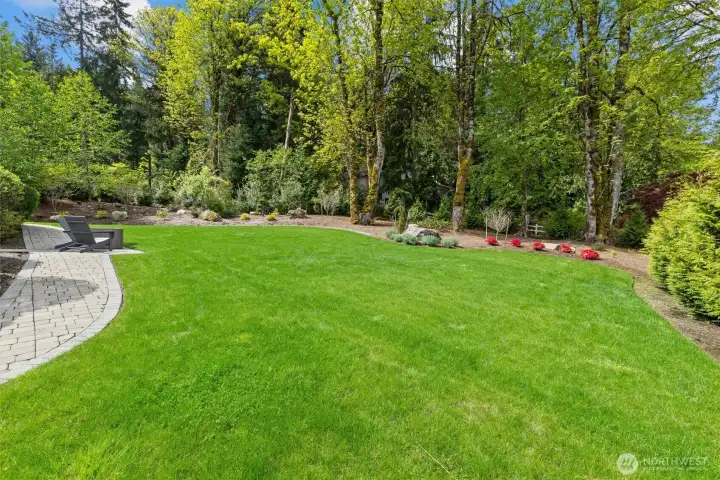 another view of the amazing yard! another view of the amazing yard!