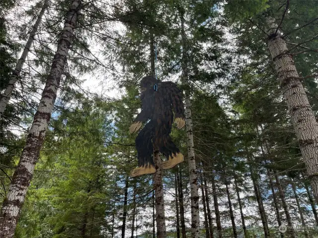 Bigfoot says you should buy this property!