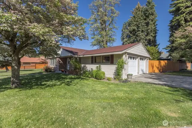View from SE corner of property
