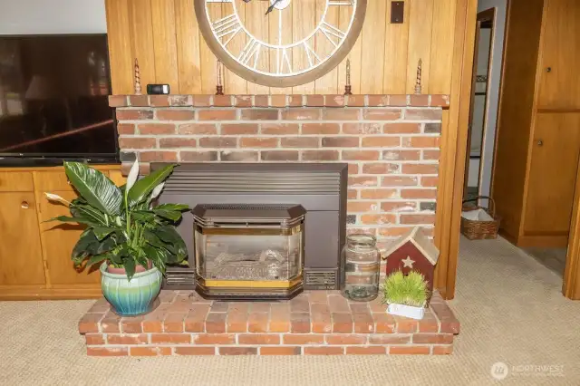 Gas Fireplace Insert