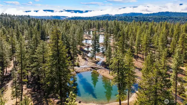 Nelson Lakes, one of the newest features built for the resort will be your favorite place for outdoor lake swimming, paddleboarding and catching the fish stocked there every year.