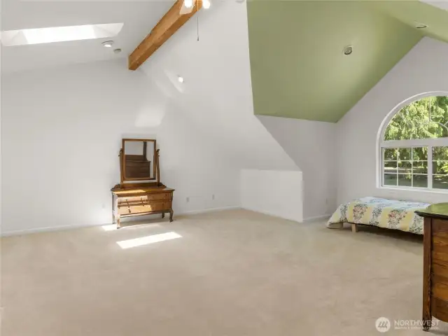 Large bedroom with walk-in closet