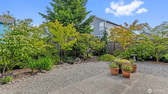 Featuring Magnolia Tree, Japanese Maples, Rhododendrons and more!