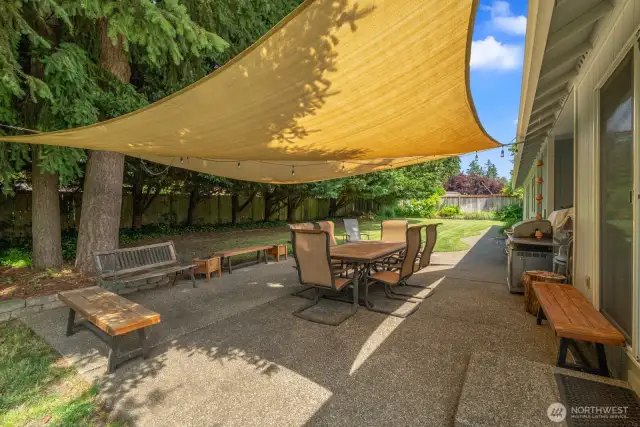 Backyard Patio