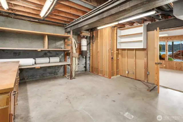Unfinished area in lower level has great potential