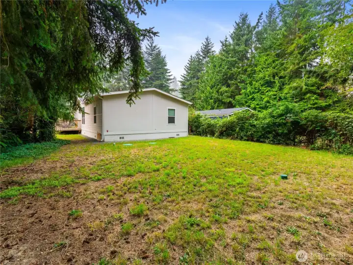 Large backyard for pets