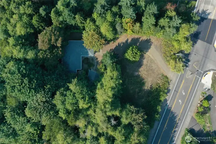 Aerial view - property is adjacent to Watershed Park, with the Woodland Trail just across the street. Super convenient to downtown, shopping, Olympia schools, EVERYTHING!