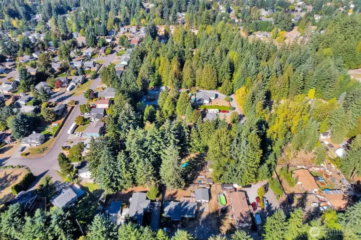 Mature growth around property!