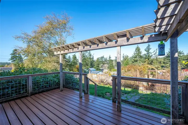 Rear deck and trellis