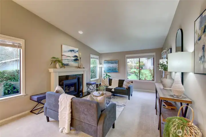 Light filled living area.