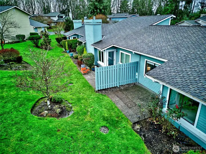 View of the back patio area