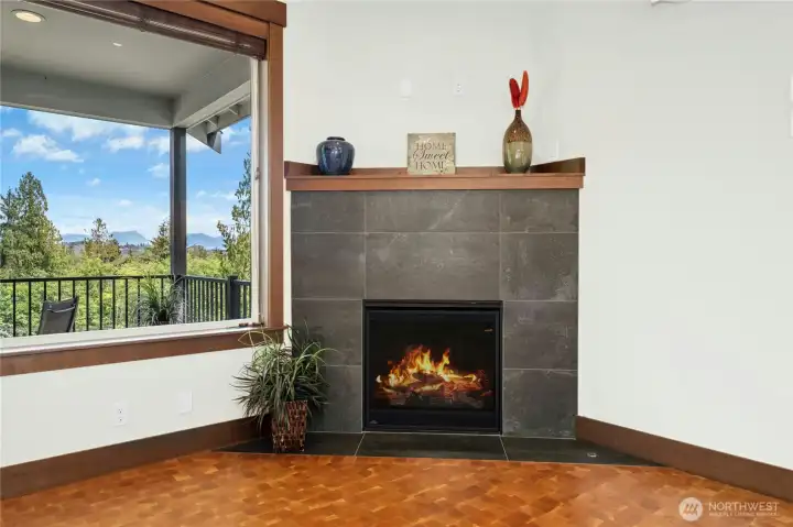 Propane Gas Fireplace