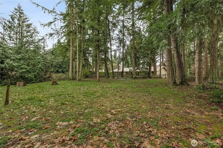 Pasture behind the home