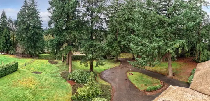 Looking above the front yard