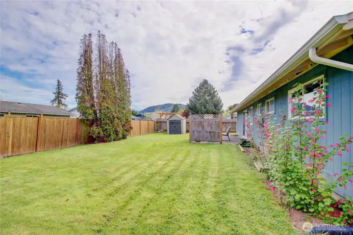 Backyard looking towards patio, storage shed in background.