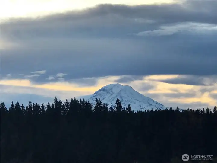 View from the home