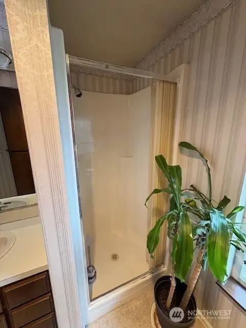 Main bath shower