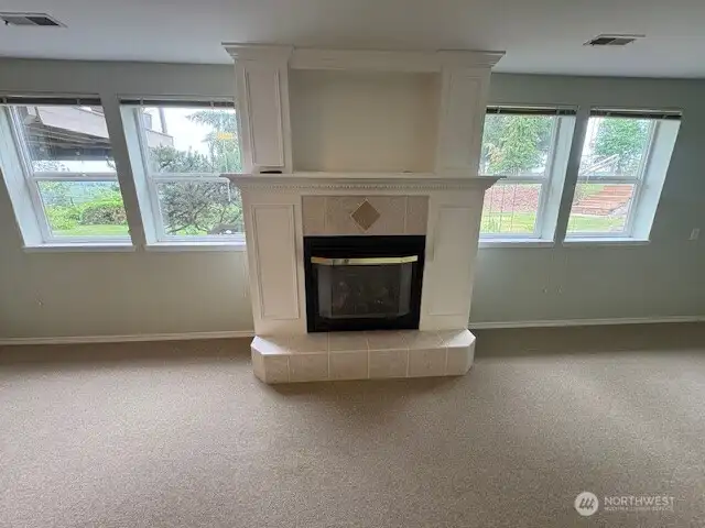 Natural Gas fireplace on lower level