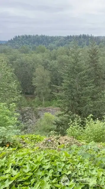 Green River flows down below the property