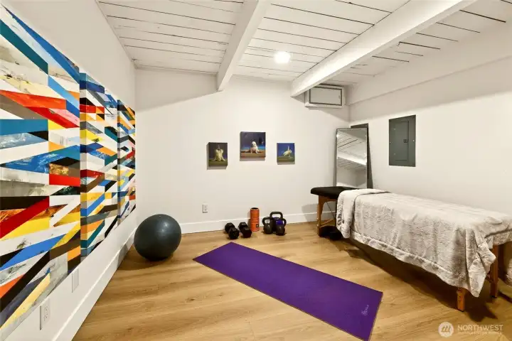 Bonus space ideal for home gym, yoga and massage, or perhaps a podcast room. Behind the camera is under-stair storage space that makes a great little wine cellar! Bonus space ideal for home gym, yoga and massage, or perhaps a podcast room. Behind the camera is under-stair storage space that makes a great little wine cellar!