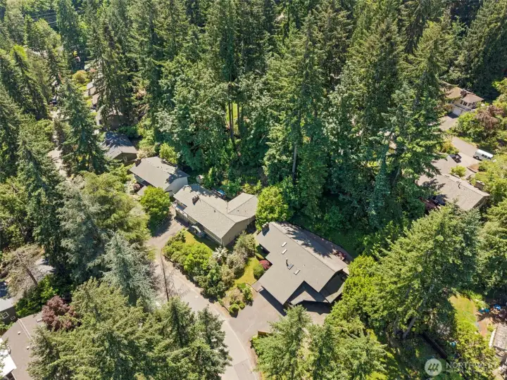 FABULOUS neighborhood in PRIME location