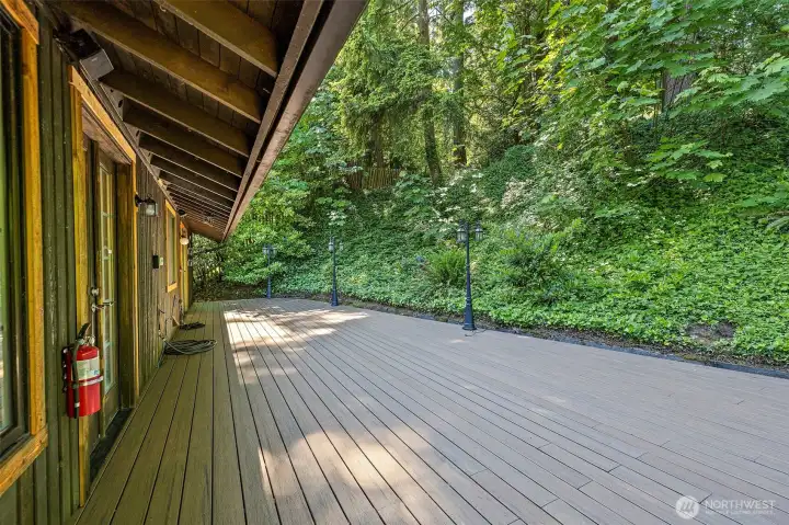 Private Back Yard