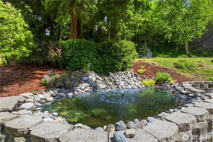 Pond with fountain and waterfall!