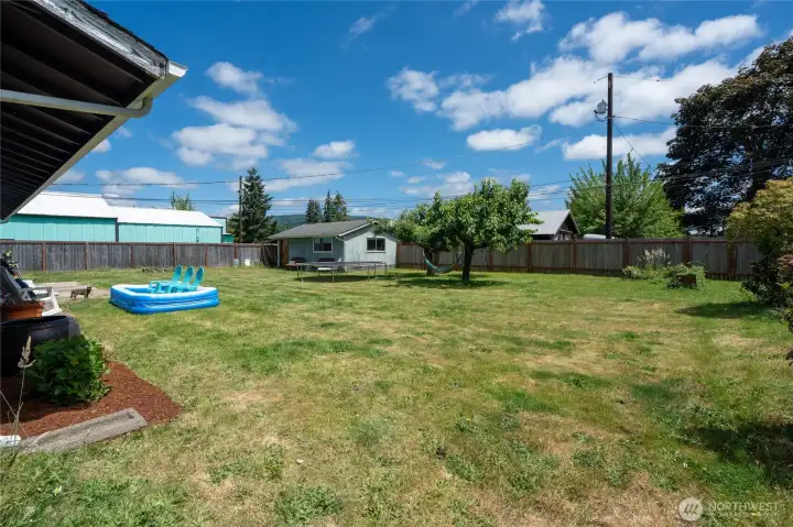 Fenced back yard