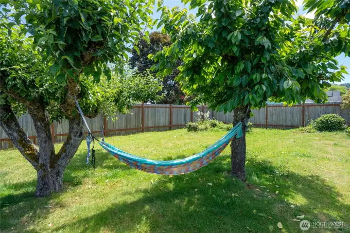 Fruit trees