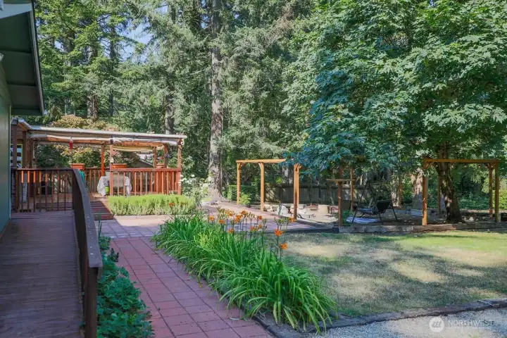 Large backyard Large backyard