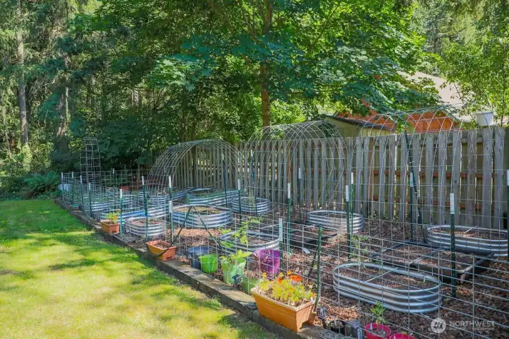 Nice garden with raised beds. Nice garden with raised beds.