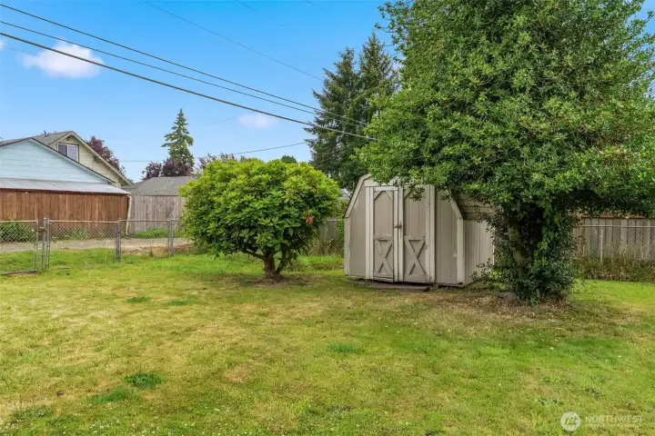 Shed Shed