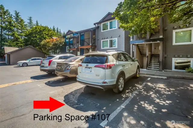 Non-Covered Parking Space #107