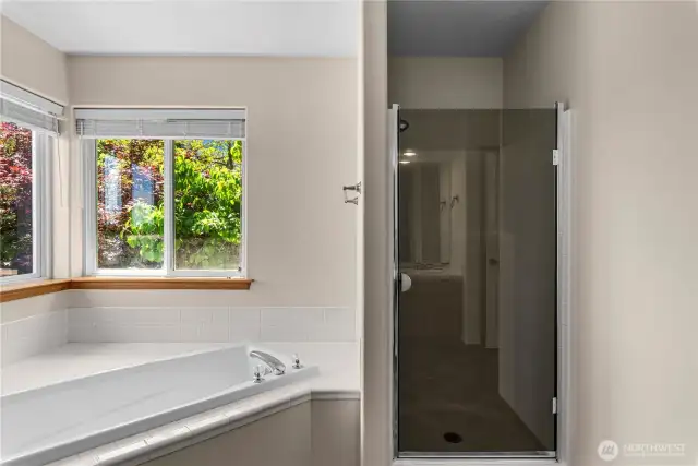 Primary Bedroom with soaking tub and walk in closet.