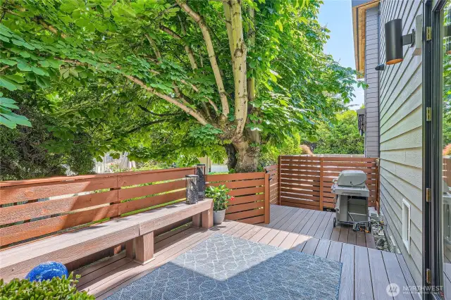 Private yard fully fenced