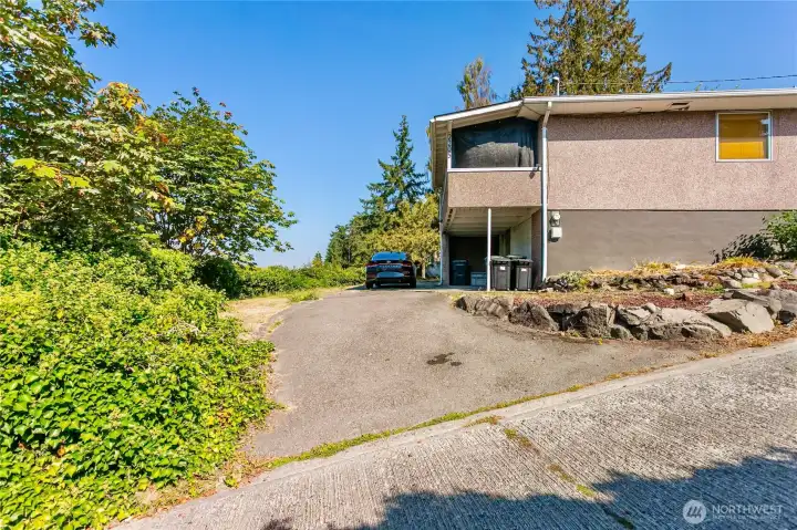 Downstairs Driveway
