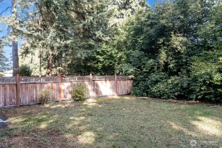 Unit B- Back Yard Fully Fenced